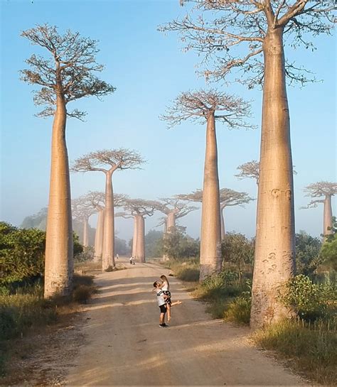 10 Cosas Que Hacer En Madagascar Viajeros 360 Blog De Viajes