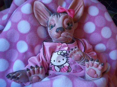 Reborn Custom Made To Order Sphynx Cat Baby Kitten Doll Ooak Etsy