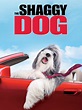 The Shaggy Dog - Movie Reviews