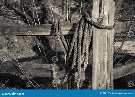 Roped Fence Stock Image Image Of Wood Farm Texture 87016545