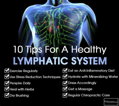 17 Best Images About Lymphatic System On Pinterest Health Lymph