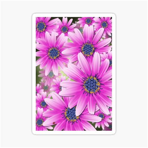 Daisies Sticker For Sale By Rimpey56 Redbubble
