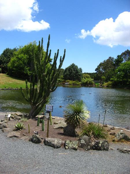 Auckland Botanic Gardens Manukau North Island New Zealand 106