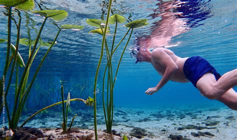 Snorkeling In Florida The Best Snorkeling Spots In Florida