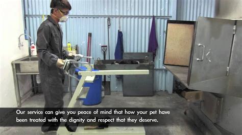 We'll discuss what animals can be cremated, the process, what services are offered, costs, and what to with your furry friend's ashes. Rainbow Bridge Pet Cremation Services - YouTube
