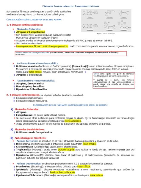 Farmacología Anticolinergicos Pdf Farmacología Drogas Que Actúan Sobre El Sistema Nervioso