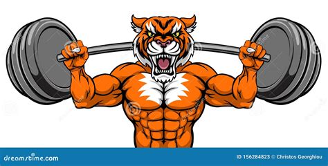 Tiger Mascot Weight Lifting Barbell Body Builder Stock Vector