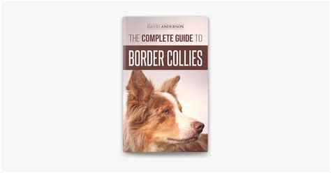 ‎the Complete Guide To Border Collies Training Teaching Feeding