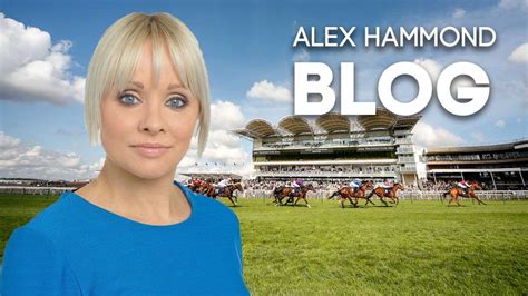 Alex Hammond Reflects On The Arc And Has Weekend Tips