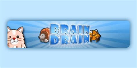 Brain Drain Rom Nintendo Wii Game