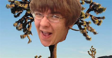 Joshua Tree Imgur