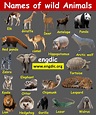 Domestic and Wild Animals Names With Pictures – EngDic