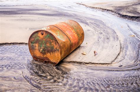 Bioaugmentation Oil Spills