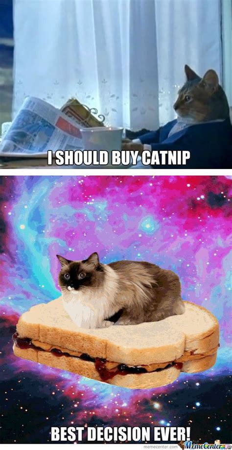 Pin By The Eclectic On Memes And Humor Video Games For Kids Funny Cat