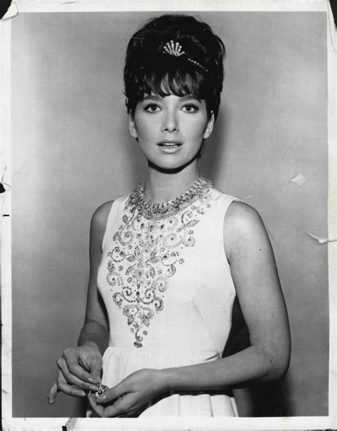 all that beauty photo suzanne pleshette classic actresses hollywood actresses