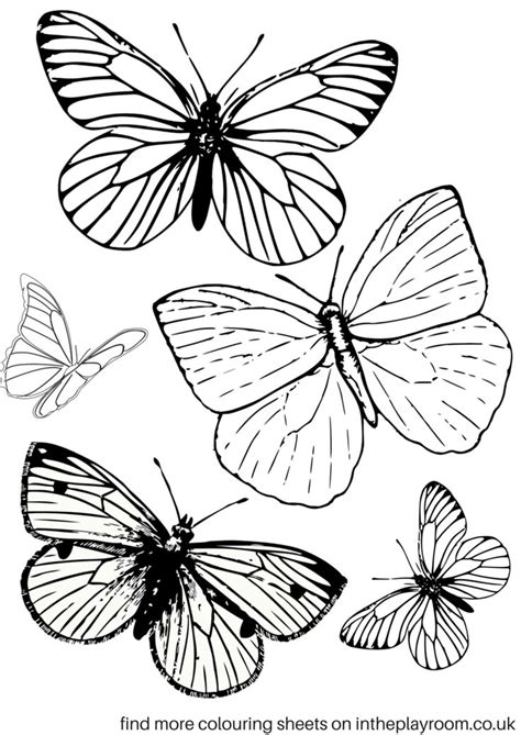 Free Printable Butterfly Colouring Pages TSgos TSgos
