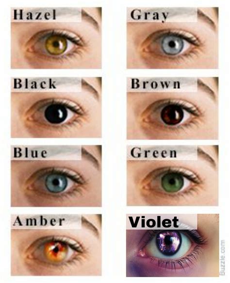 Overview Of Eye Color Depictions Youth Medical Journal
