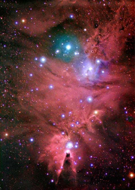 Halling Skies Ngc 2264 The Christmas Tree Cluster And Cone Nebula