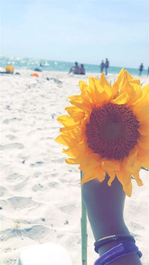 Sunflower Beach Sunflower Summer
