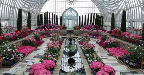 Pinkpurple Conservatory Pretty Flowers And Gardens Pinterest
