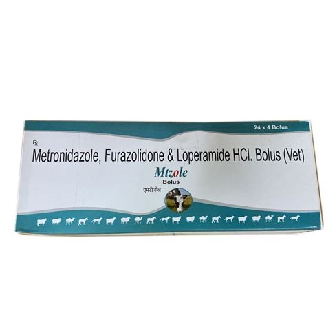 Metronidazole Furazolidone Loperamide Hcl Bolus At Rs 480box In Jaipur