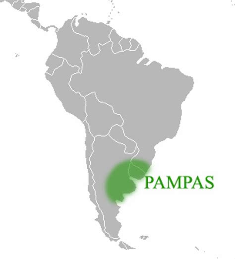 潘帕斯地区为何不是森林？