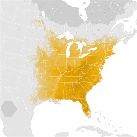 Eastern Towhee Abundance Map Pre Breeding Migration Ebird Status