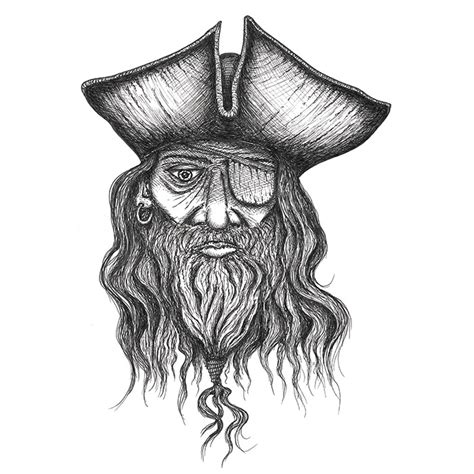 Pirate With A Beard Drawing A Pirate Head Pen Sketch Pirate