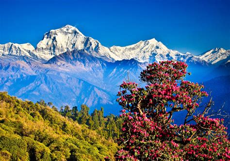 38 Reasons Why Should You Visit Nepal For Once In A Lifetime Experience