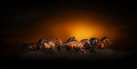 Horses At Sunset Wallpapers Wallpaper Cave