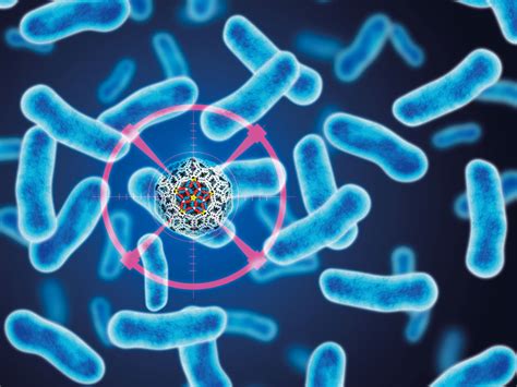 Synthetic 'virus' to kill bacteria | SBBS