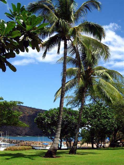 Most Beautiful Islands Hawaiian Islands Lanai