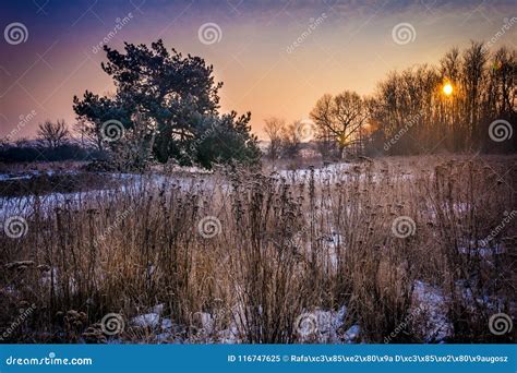 A Cold Winter Morning Stock Image Image Of Frosty Hoarfrost 116747625