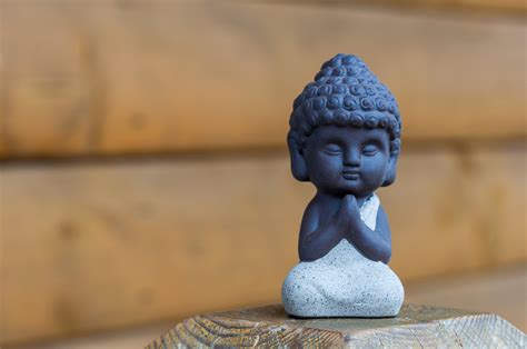 Little Buddha Bellesprit