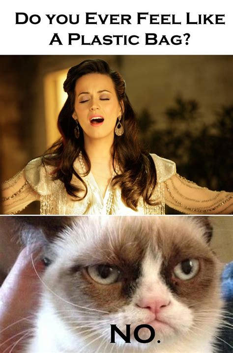Grumpy Cat Meet Katy Perry Songsthatmakenosense Cute Funny Animals