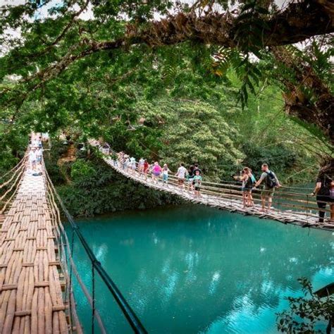 Bamboo Hanging Bridge Bohol What You Need To Know Daily Travel Pill