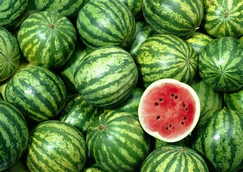 Growing Watermelons In Victoria