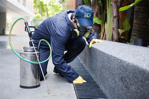 Get your pest issues resolved fast with the best pest control in minneapolis and the midwest. Effective Pest Control is a Combination of DIY Prevention ...