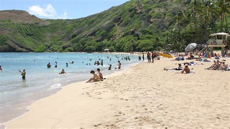 Hanauma Bay Nature Preserve Honolulu Hawaii Attraction Au