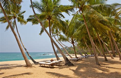 Amanwella Tangalle Sri Lanka • Luxury Hotel Review By Travelplusstyle
