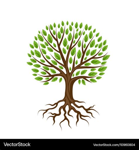 Abstract Stylized Tree With Roots And Leaves Vector Image