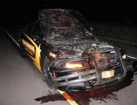 Cop Racing To Crime Scene Smashes Into Deer At 100mph During Horror