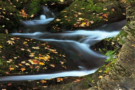 Free Image On Pixabay Autumn Beautiful Colorful Fall Best Nature