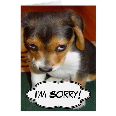 Sad Puppy Im Sorry Card