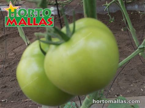 Hortomallas Ten 5 Hortomallas™ Supporting Your Crops®