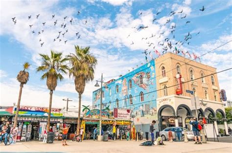 Things To Do In Venice Beach California Attractions And Places To Visit