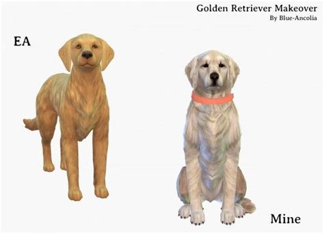 Simiracle Golden Retriever Makeover Sims 4 Downloads Sims Pets