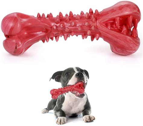 Indestructible Dog Toys For Aggressive Chewers Pawsify