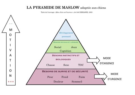La Pyramide De Maslow Ou Pyramide Des Besoins Du Chien Lagence Tous