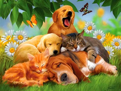 Cats Dogs Wallpaper Desktop Wallpapersafari